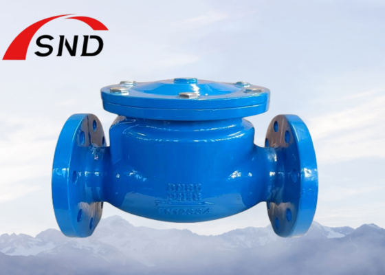 Ductile Iron Swing Check Valve for Water, Oil, and Gas Pipelines