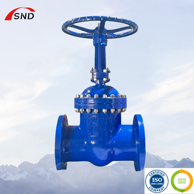 Class 150 to 1500 Pressure Tating Gate Valve Featuring Flange Connection Methods and Raised Face Endconnection for Performance