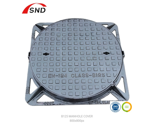 Customizable Manhole Step Iron Cast OEM Service For Different Requirements